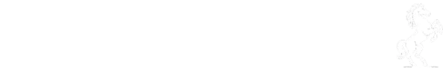 BoostedMeds Logo